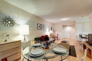 Venice Suite Furnished Apartment Rentals