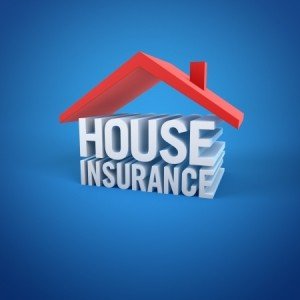 House Insurance Company Icon