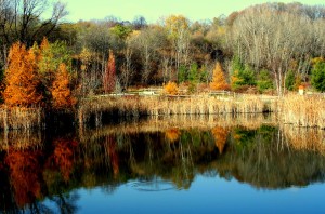 Don_Valley_October_Toronto